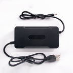 Lithium Battery Charger